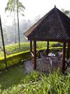 Ceylon Tea Trails