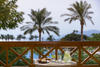 Movenpick Resort Taba