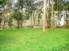 The Mountain Courtyard Thekkady