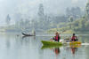 Ceylon Tea Trails